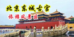 舔舔熟女尿尿小说中国北京-东城古宫旅游风景区